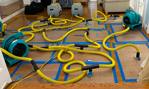 Professional Water Damage Repair technician working in Saunderstown, RI